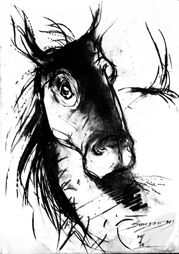 Horse Portrait 6