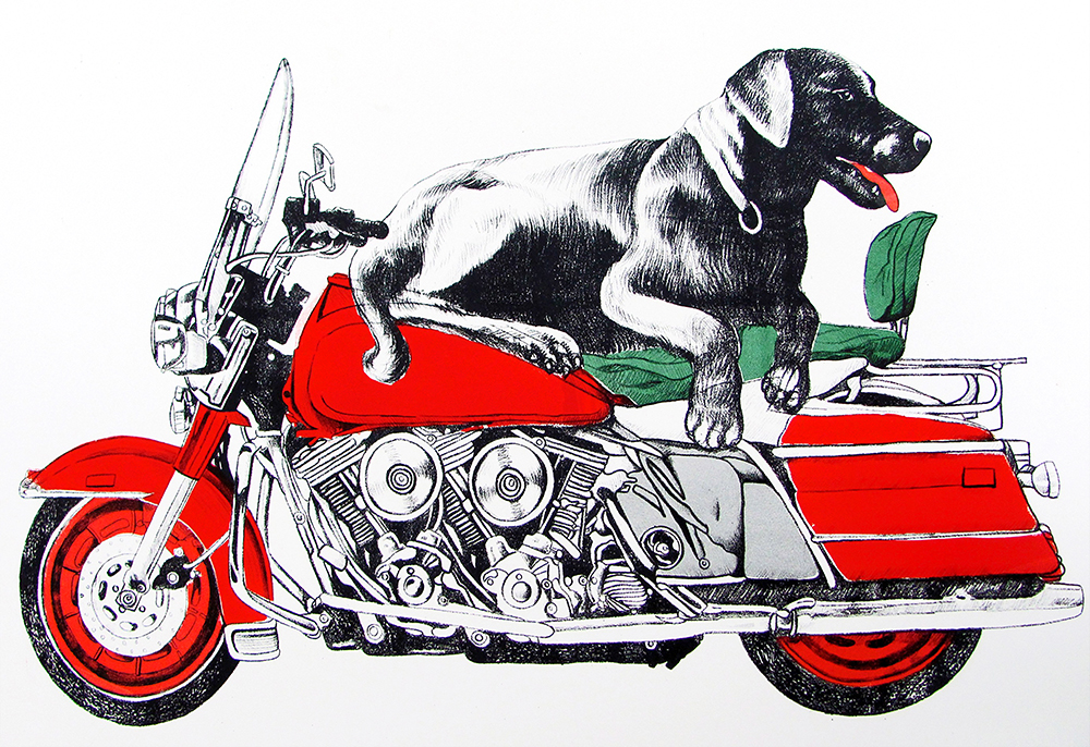 The Dog on Motorcycle By Dashrath Das.