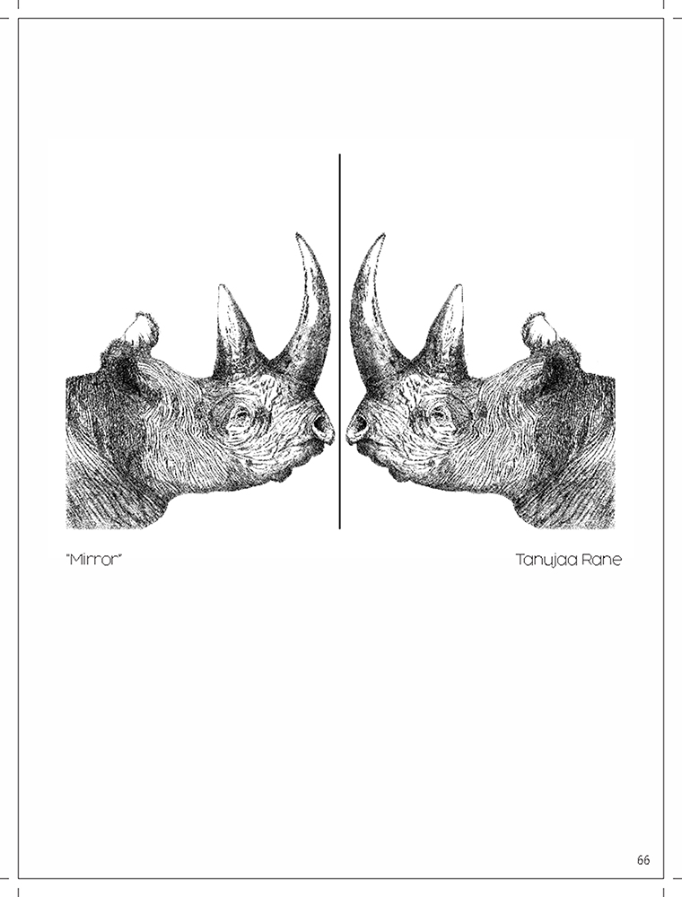 Mirror -Platography On Acid Proof Paper by Tanuja Rane