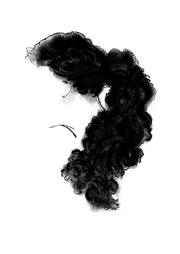 Hair 5 - Platography On Paper by Kashinath Salve