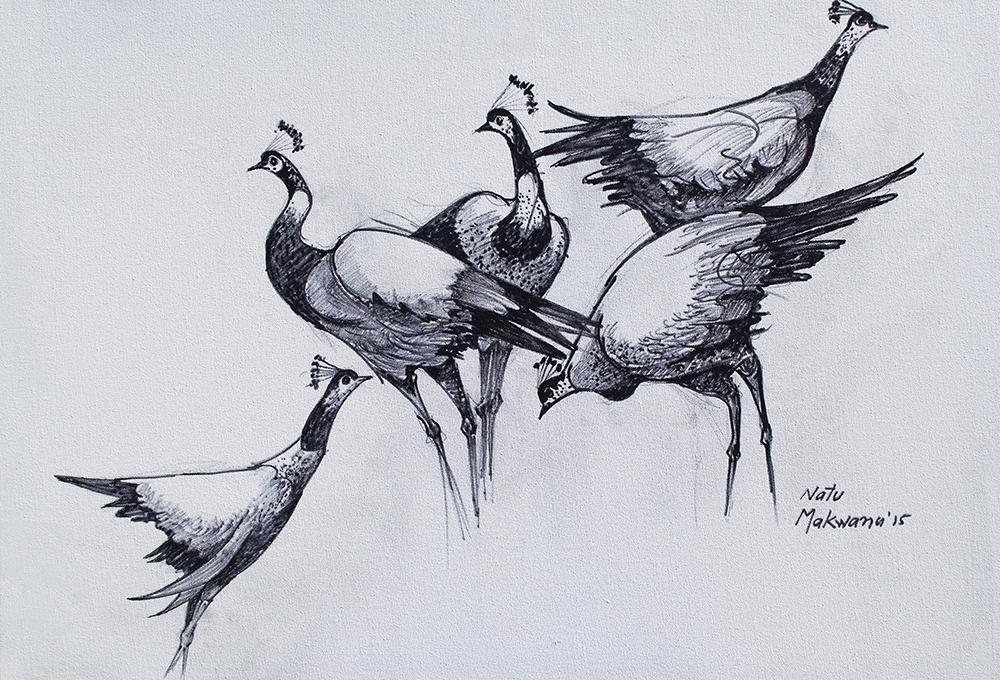 Peahen - Charcoal  On Canvas by  Natu Makwana